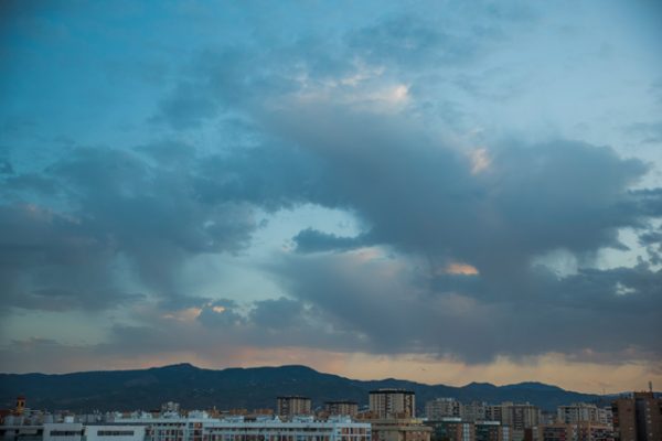 _dsc2243