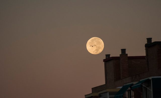 luna