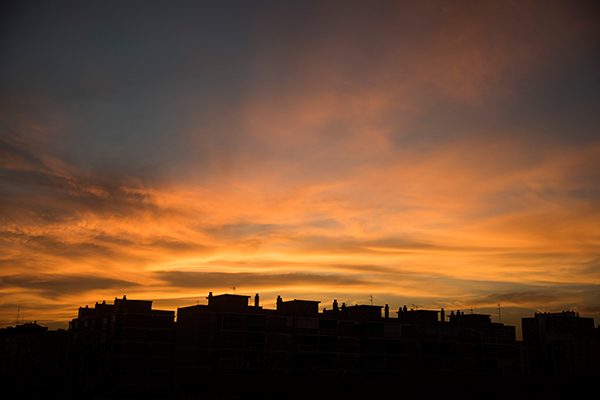 _dsc2135
