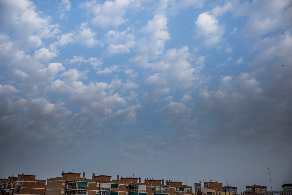 _dsc3739